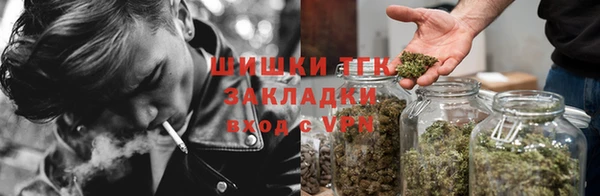 mdpv Белокуриха