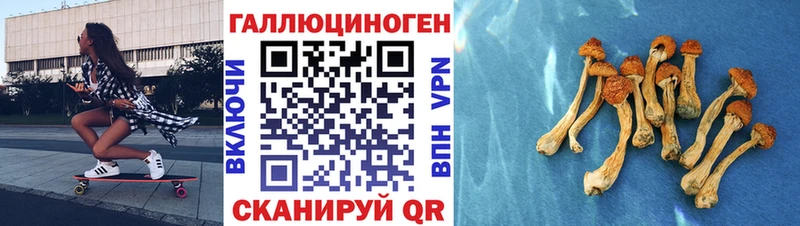 Галлюциногенные грибы GOLDEN TEACHER  Ершов 